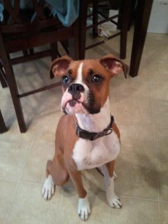 Newman at 10 mths