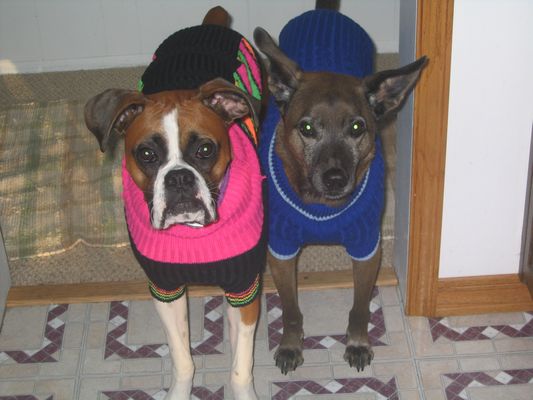 Newsweaters