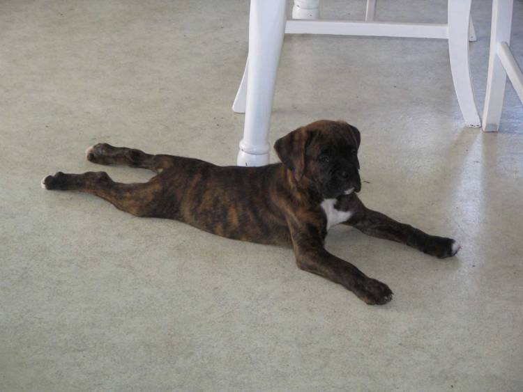 Nice cool floor