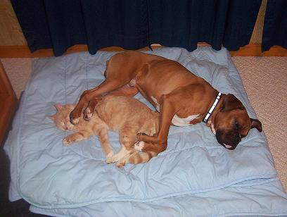 NICE PILLOW!!!!