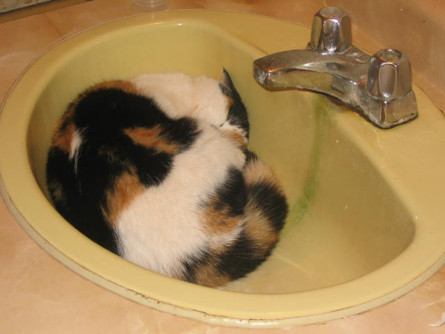 nice place to sleep