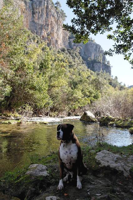 Nice scenery