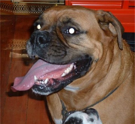 nice tongue, huh?