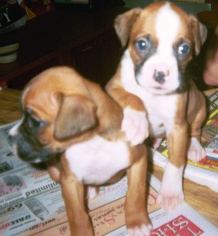 Nico and Sister