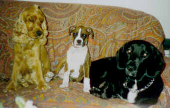 Nico, Gilda & Simon 1994