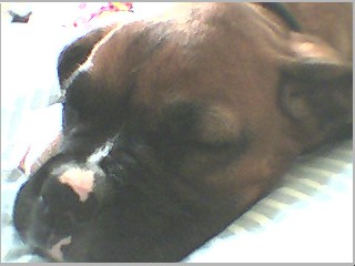 night night apollo