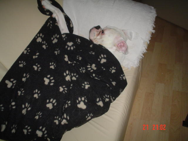 night night