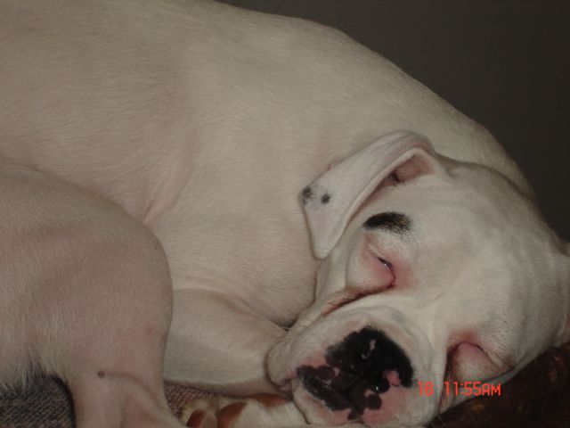 NightNight.......shhh