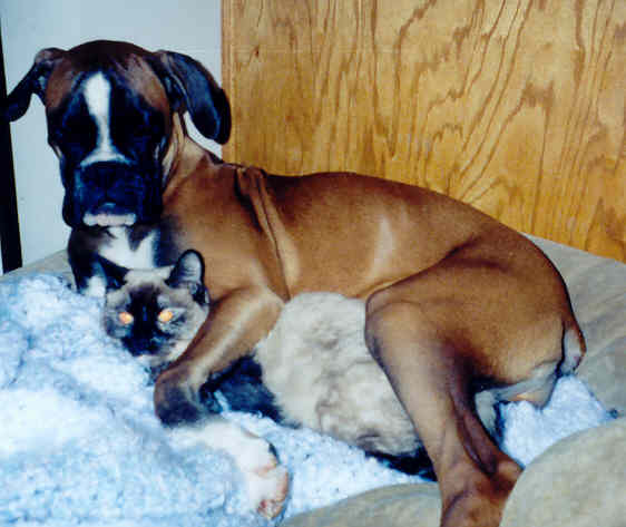 Nikki and Jewels