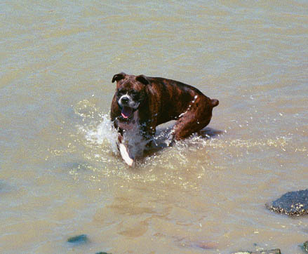 Nikki cooling off