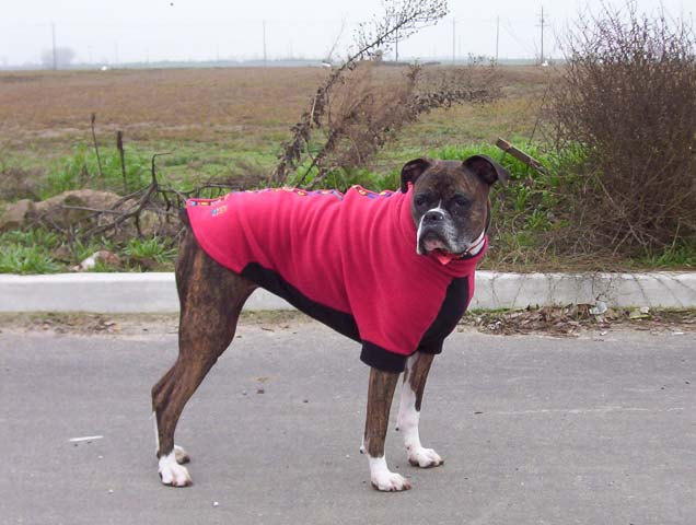 Nikki in her Fido Fleece