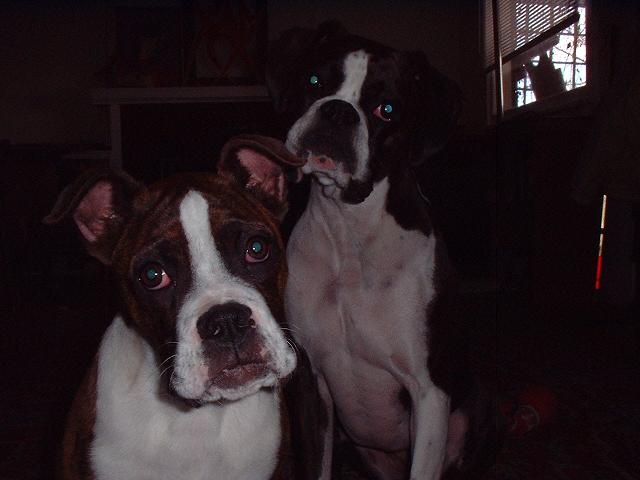 Nina&June