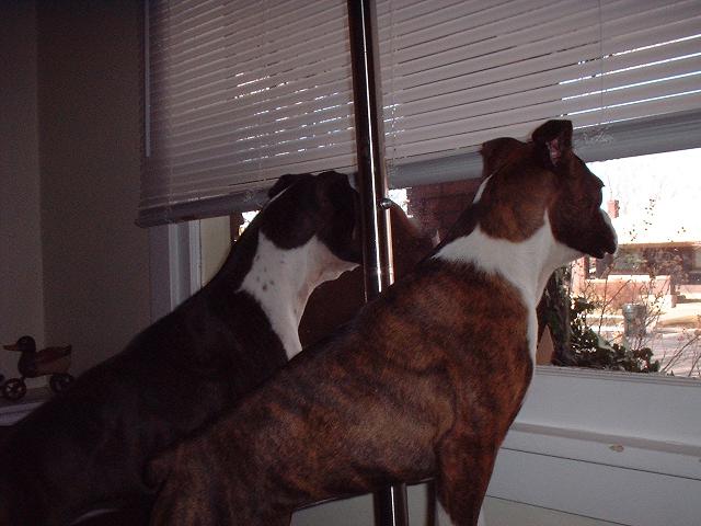 Nina&June