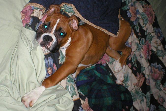 No get up