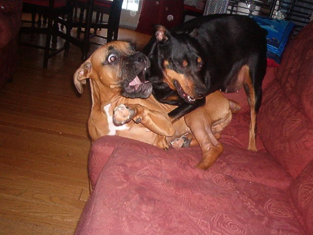 No!!! I am tellin mom!