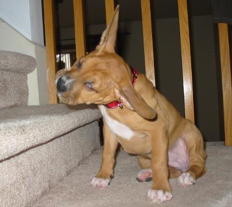 No!! i do not want to go to bed yet!!