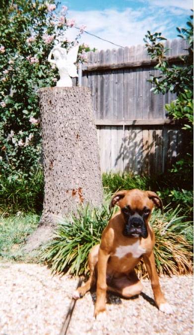 No, I will not sit up straight for another picture!!
