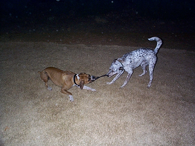 No it's mine.... I had it first