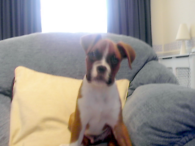 No more photos mum