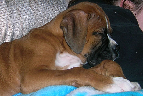 No more pictures. Must sleep.