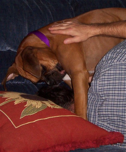 No Napping!