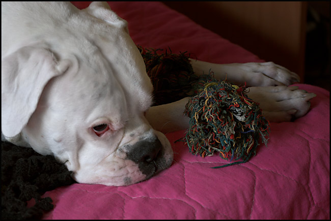 No one wants to play with me