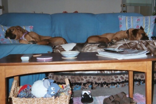 No room for mom