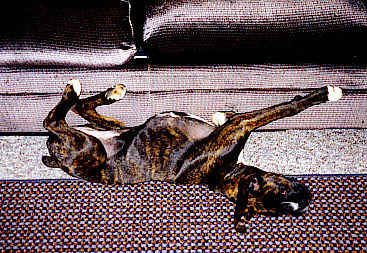 No...you aren't looking at this photo upside down
