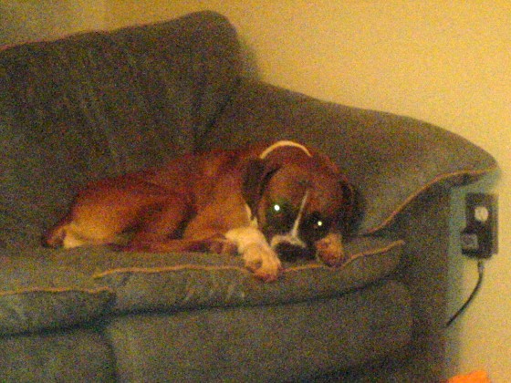 Noel on couch