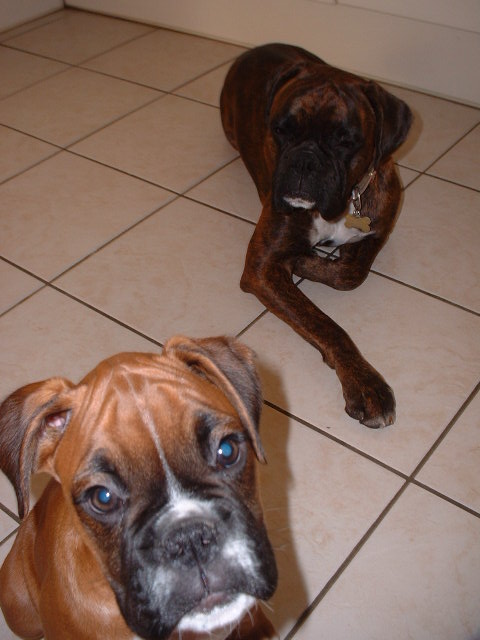Nosey Zeb, sleepy Lola