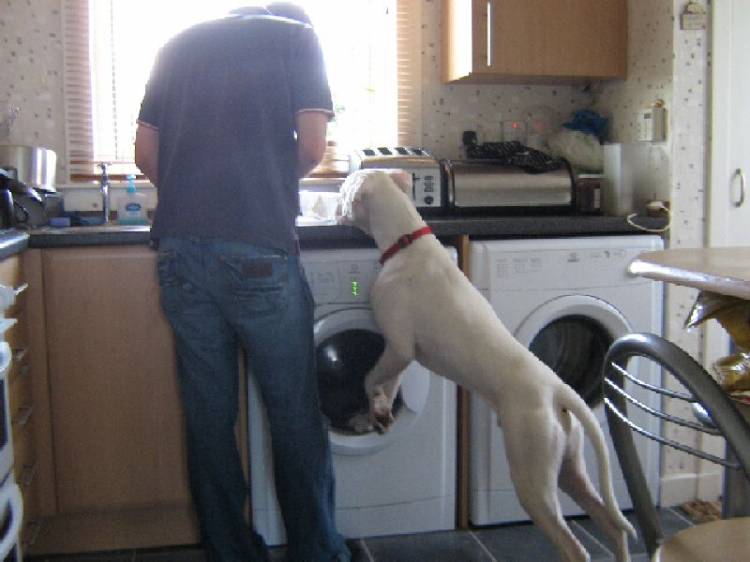 Nosy Oscar