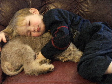 Not a Boxer but a Bedlington Terrier