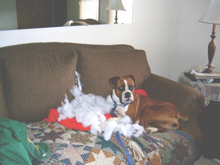Not a bubble bath...it's a couch!