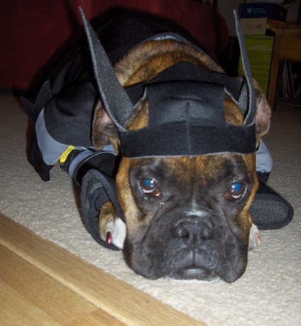 Not amused!