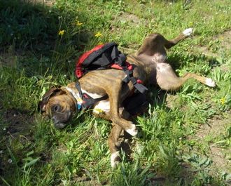 Not gonna hike with a pack!