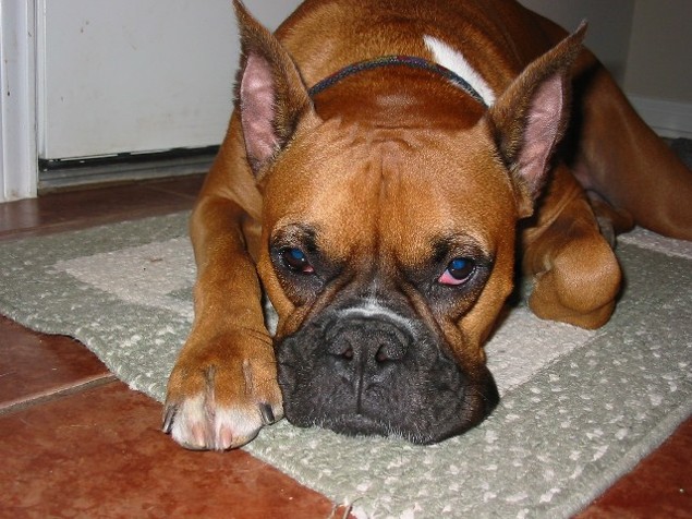 Not impressed!