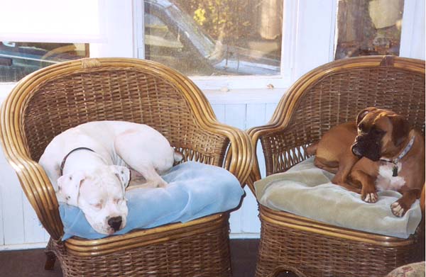 Not in the least bit spoiled