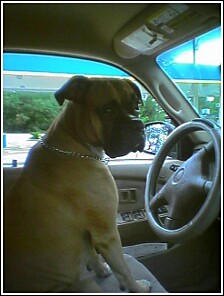 Not old enough to drive yet...