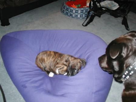 Not playtime again