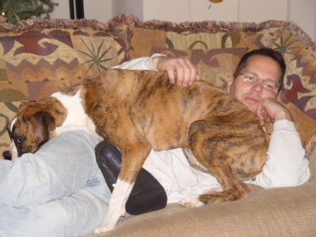 nothing like a 70lb lap boxer