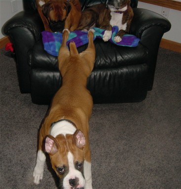 Nothing like a good stretch!