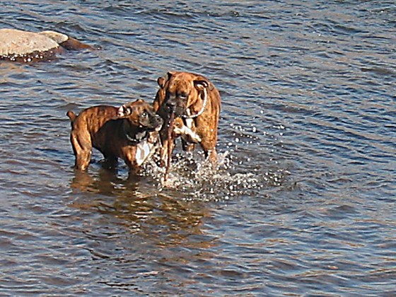 Nov.30,2004