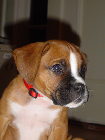 november 2005