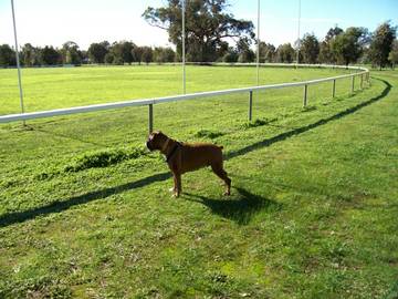 Now for some footy!