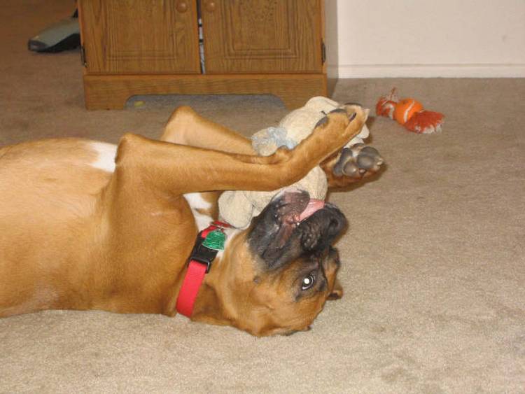 Now I lay me down to sleep...