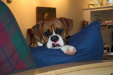 Now That's A Face!