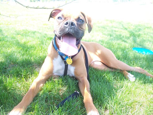 Now that's a smile!