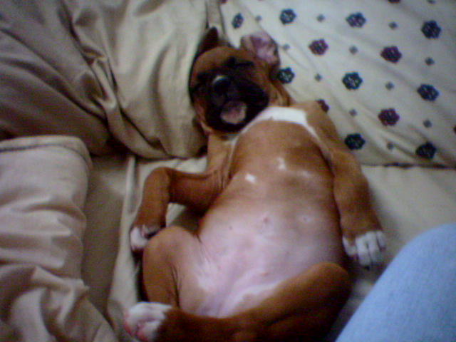 Now_Thats_the_Life