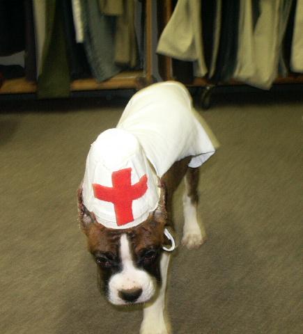 Nurse Hot Lips Houlihan reporting for duty....Sir!