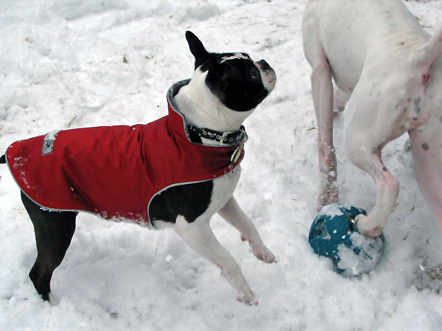Nyah and Ellie